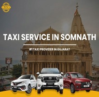 Local Sightseeing Taxi